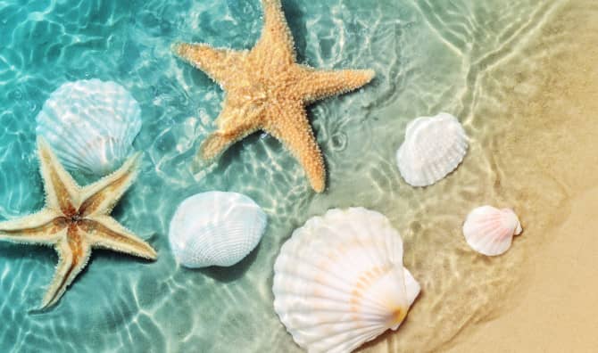 15 Inspirational Quotes About Summer