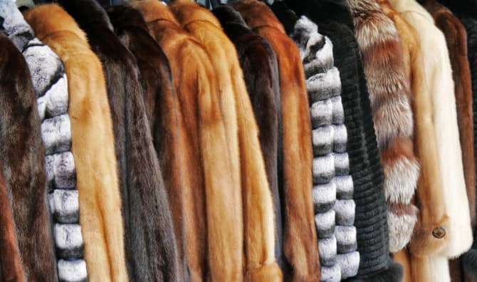 Milestone Decision to End Fur Fashion