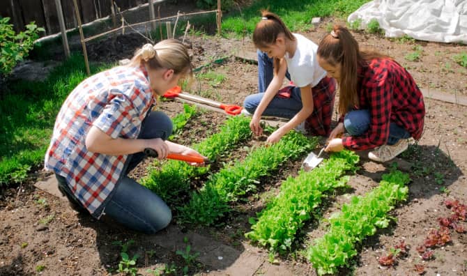 AllotMe is the New Way to Find Garden Space in the UK