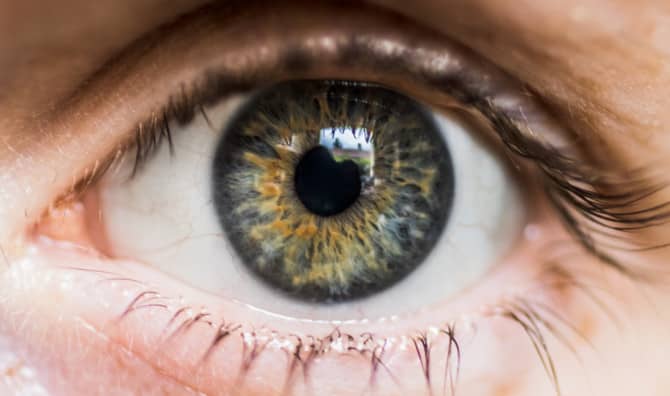 A Single Treatment Could Restore Vision and May Transform Lives