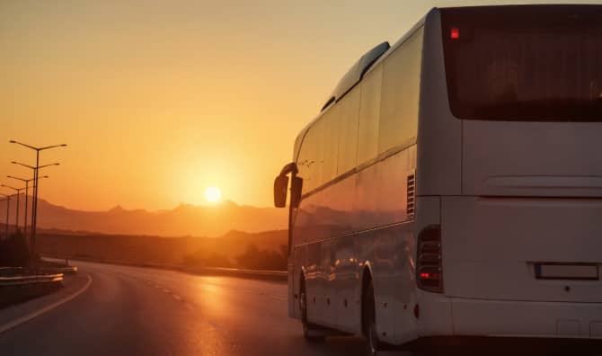 The Not-So-Secret Garden