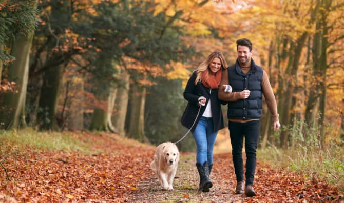 The Pleasures of Walking