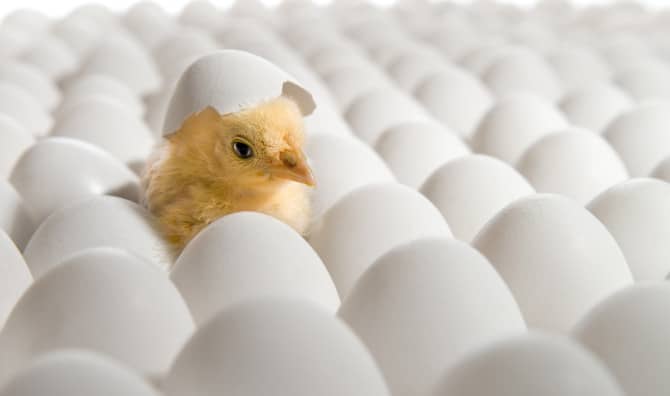 Questioning the Not-So-Obvious