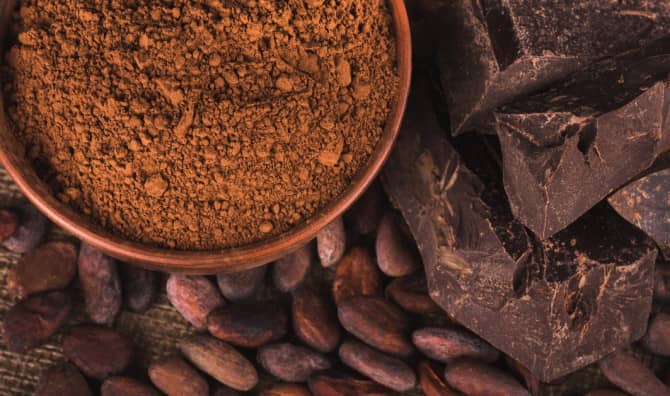 Fine Chocolate Fixes the World