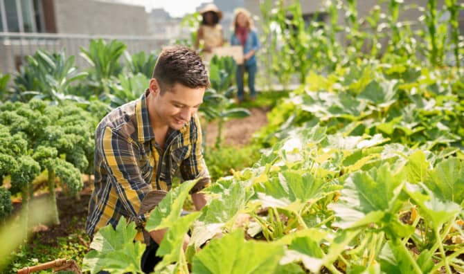 New York’s First Urban Greenhouse Will Make You Go ‘WOW’