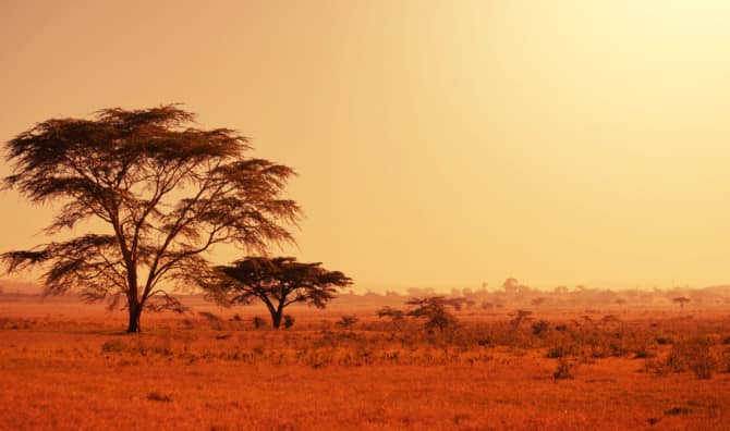 A Photography Competition Saves Lives