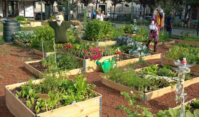 Meet the First Library Farm