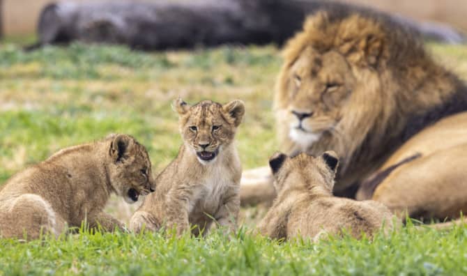 Celebrating an Adorable Baby Boom!