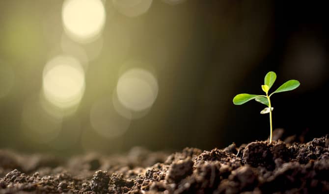 Artificial Photosynthesis Allows Plants to Grow in the Dark