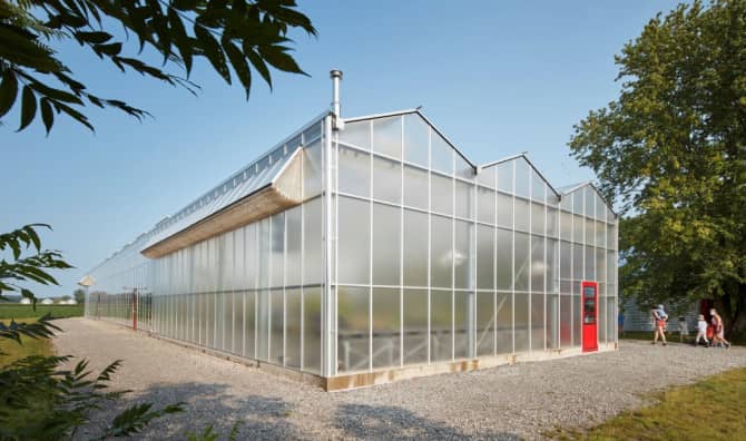 Taking Farm to Table to a New Level