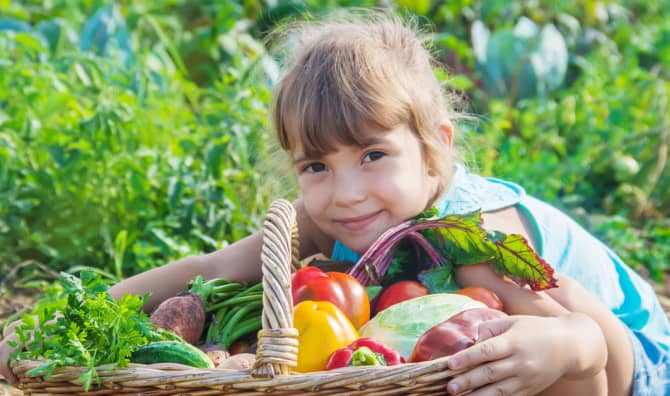 5 Natural Ways to Keep Critters Out of the Garden