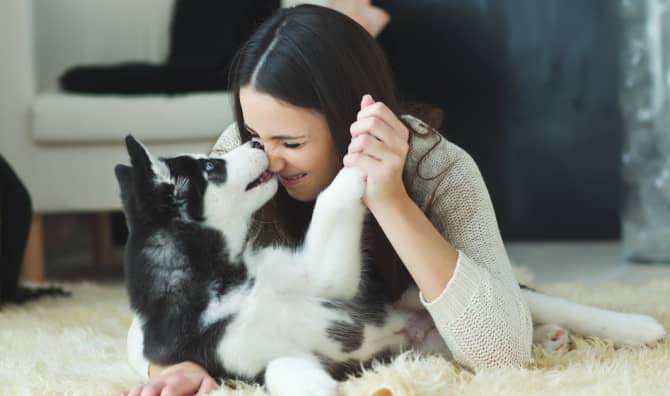 12 Inspirational Quotes About Dogs