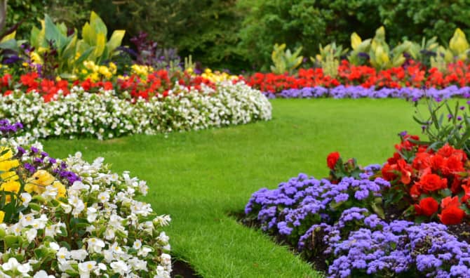 5 DIY Natural Weed Control Hacks