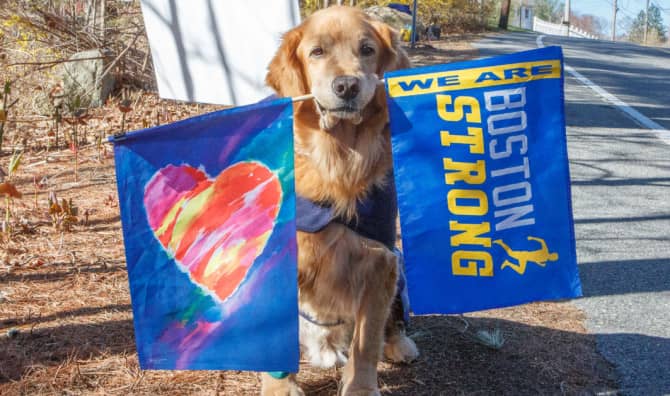 Meet the Official Marathon Dog!