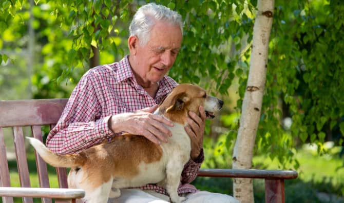 Four-Legged Volunteers Help Ease Loneliness in Seniors