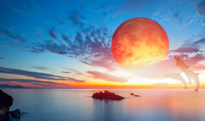 Get Ready for the 2021 Eclipses and Retrogrades