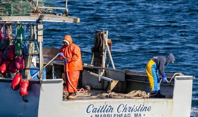 Fishermen Team up With Food Banks to Lend a Hand