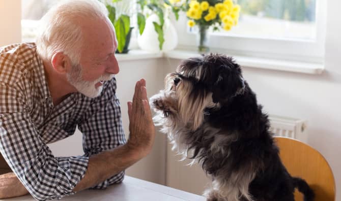 Pets for The Elderly is Helping Seniors Be Less Lonely