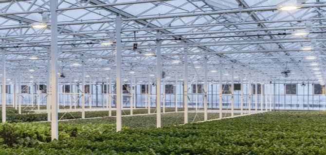 Canada’s Home to the World’s Largest Rooftop Greenhouse