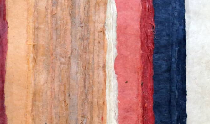 Indian Startup Makes Tree-Free Paper That Saves Water Too