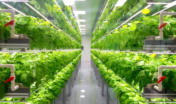 The Farms of the Future Could be Underground