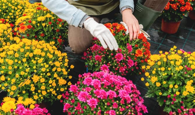 Lowe’s is Celebrating Mother’s Day by Delivering Flowers to Moms