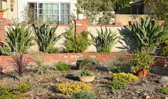 How to Turn Your Yard Into an Oasis