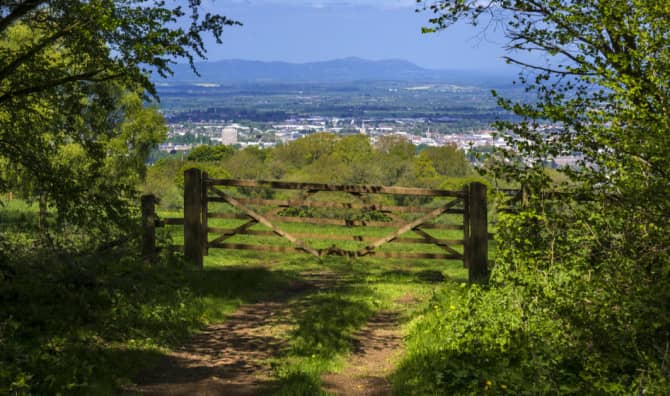 New UK Wildlife Charity Plans to Buy land To Rewild