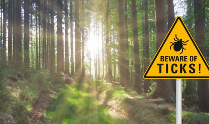 New Study finds Potential Treatment for Lyme Disease