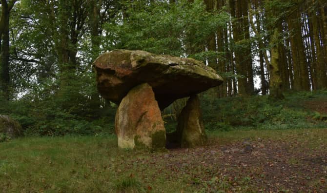 Wales is Building the Largest Ever National Forest