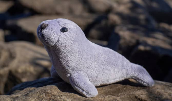 The Furry Robot that Heals