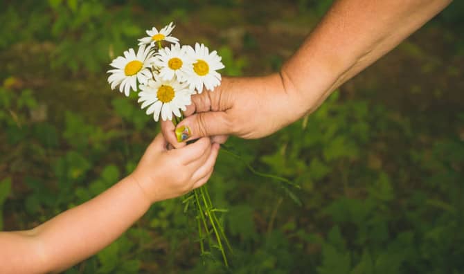 The Kindness Revolution – Created with Cards