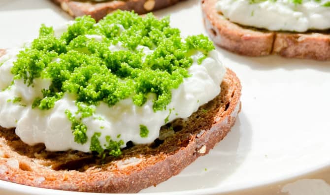 Meet the World’s Smallest Superfood