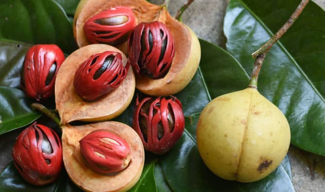 5 Wellness Benefits of Nutmeg to Explore