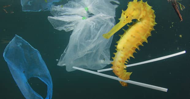 9 Great Brands That Make Clothing from Recycled Plastic