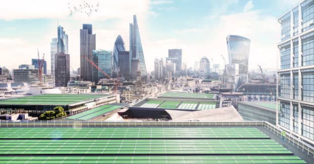 The BioSolar Leaf Project Could Soon Clean the Air of Major Cities