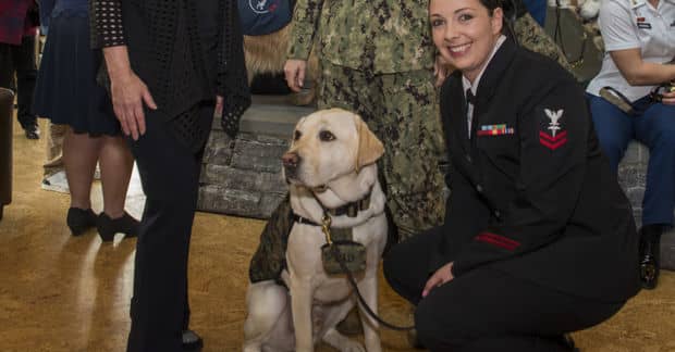 George H. W. Bush’s Former Service Dog Sully Has Joined the Navy