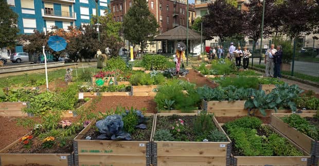 You Can Grow Free Food and a Community in Your Own Front Yard