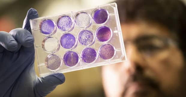 Scientists Discover a Way to Preserve Vaccinations Without Refrigeration