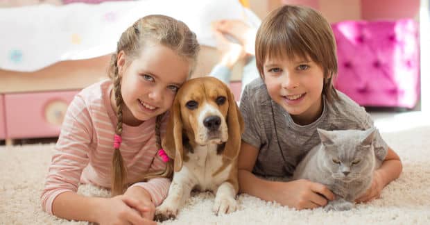 What is the Best Pet For You? [QUIZ]