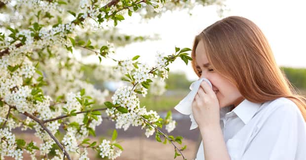 7 Foods That May Help Alleviate Seasonal Allergy Symptoms