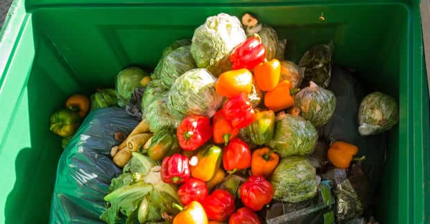 How US Farms Are Working to Reduce Food Waste
