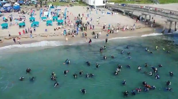 Hundreds of Divers Set the World Record for Largest Underwater Cleanup