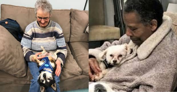 The Cuddle Club Unites Senior People and Senior Dogs