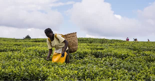 5 Ways to Feed a Growing World Population Sustainably