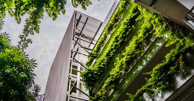 How This Unique Hospital is Using Greenery as Medicine