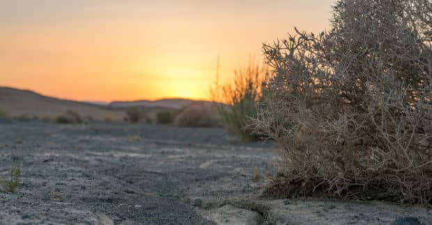 This Village in a Box Wants to Save the Planet