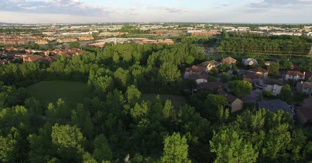 Montreal Plans to Create One of Canada’s Largest Urban Green Spaces