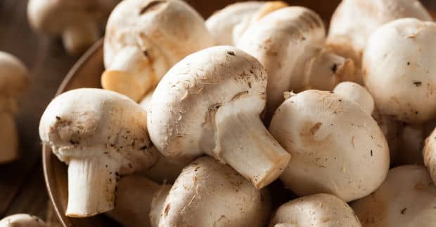 This Caribbean Cooperative Organic Mushroom Farm is a Huge Success