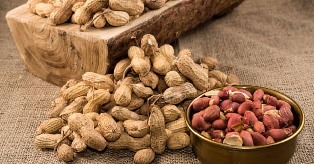 New Treatment for Peanut Allergies May Soon be Available